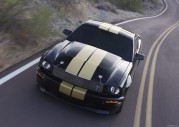 Shelby Cobra GT500 Show Car